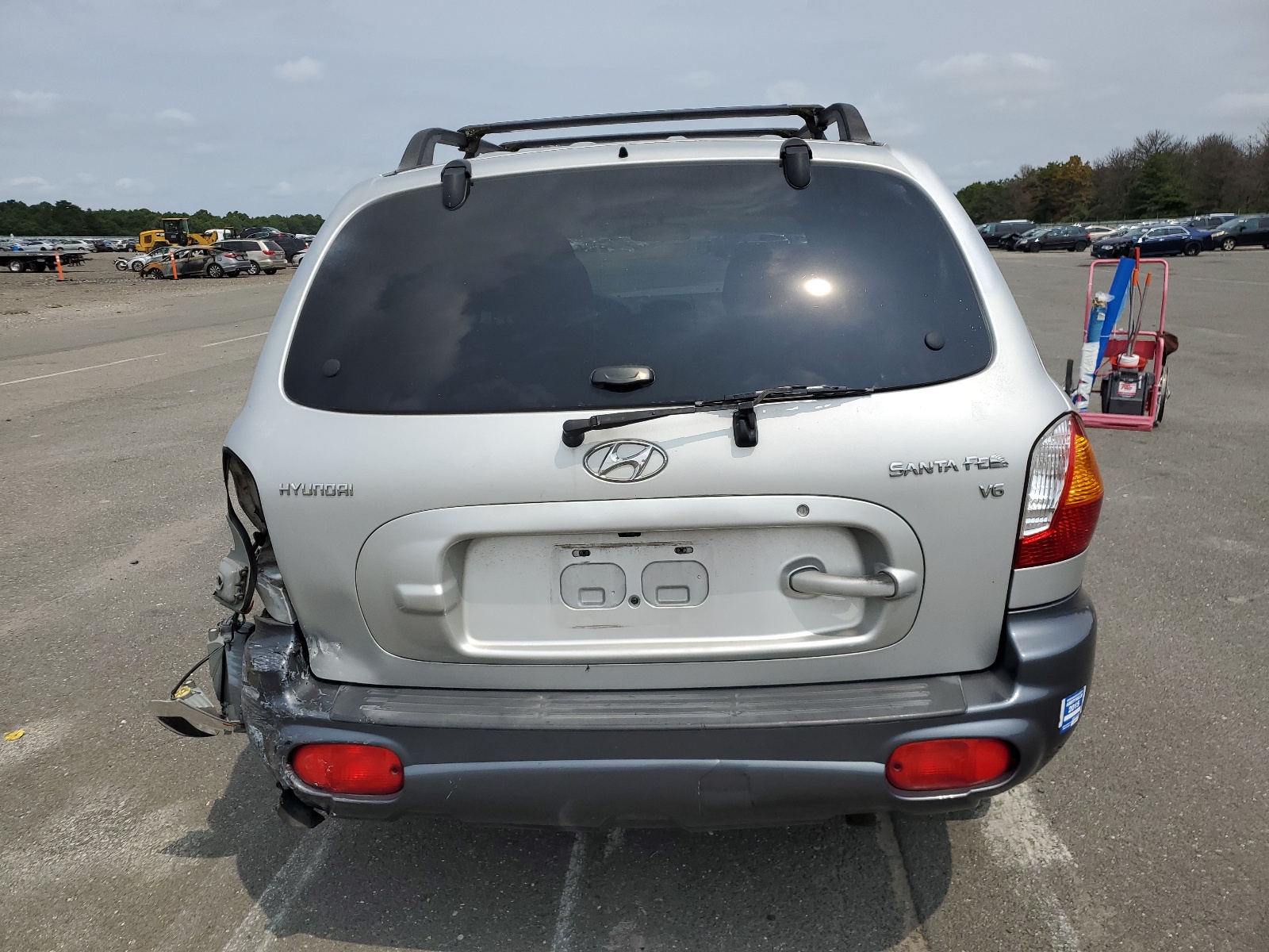 KM8SC13D63U540921 2003 Hyundai Santa Fe Gls