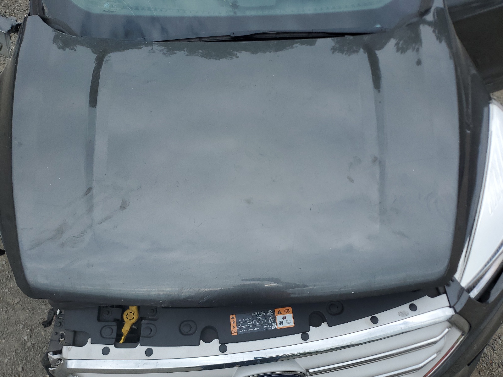 1FMCU9GDXKUB34312 2019 Ford Escape Se