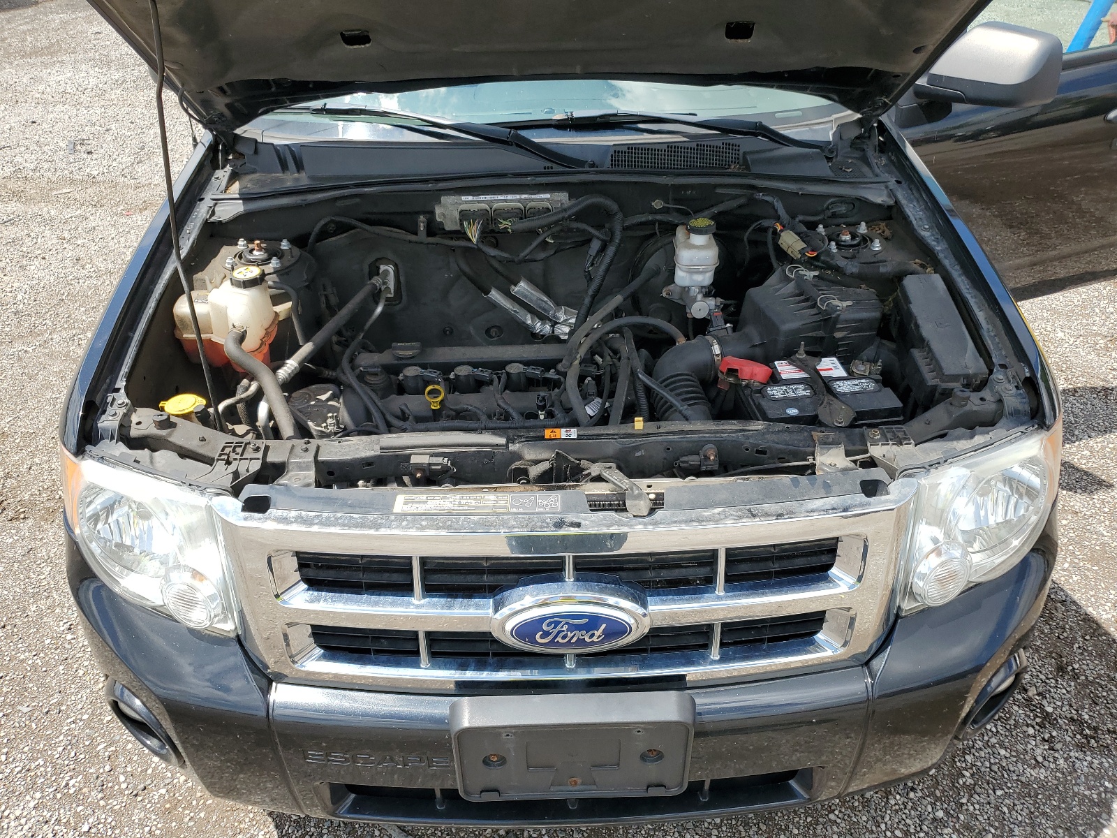 1FMCU9D73BKB68862 2011 Ford Escape Xlt