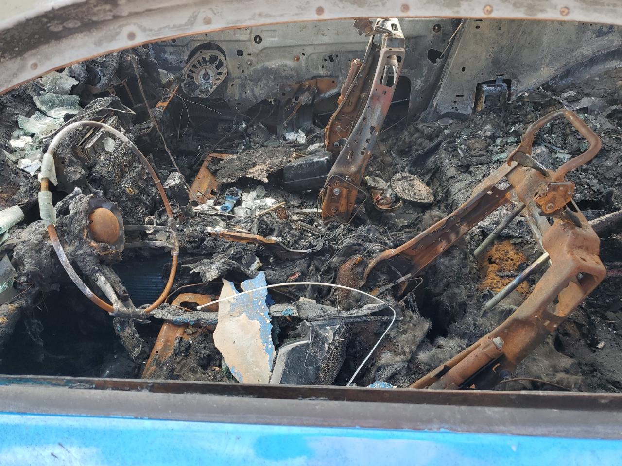 2012 Ford Mustang VIN: 1ZVBP8AM9C5267601 Lot: 62630654