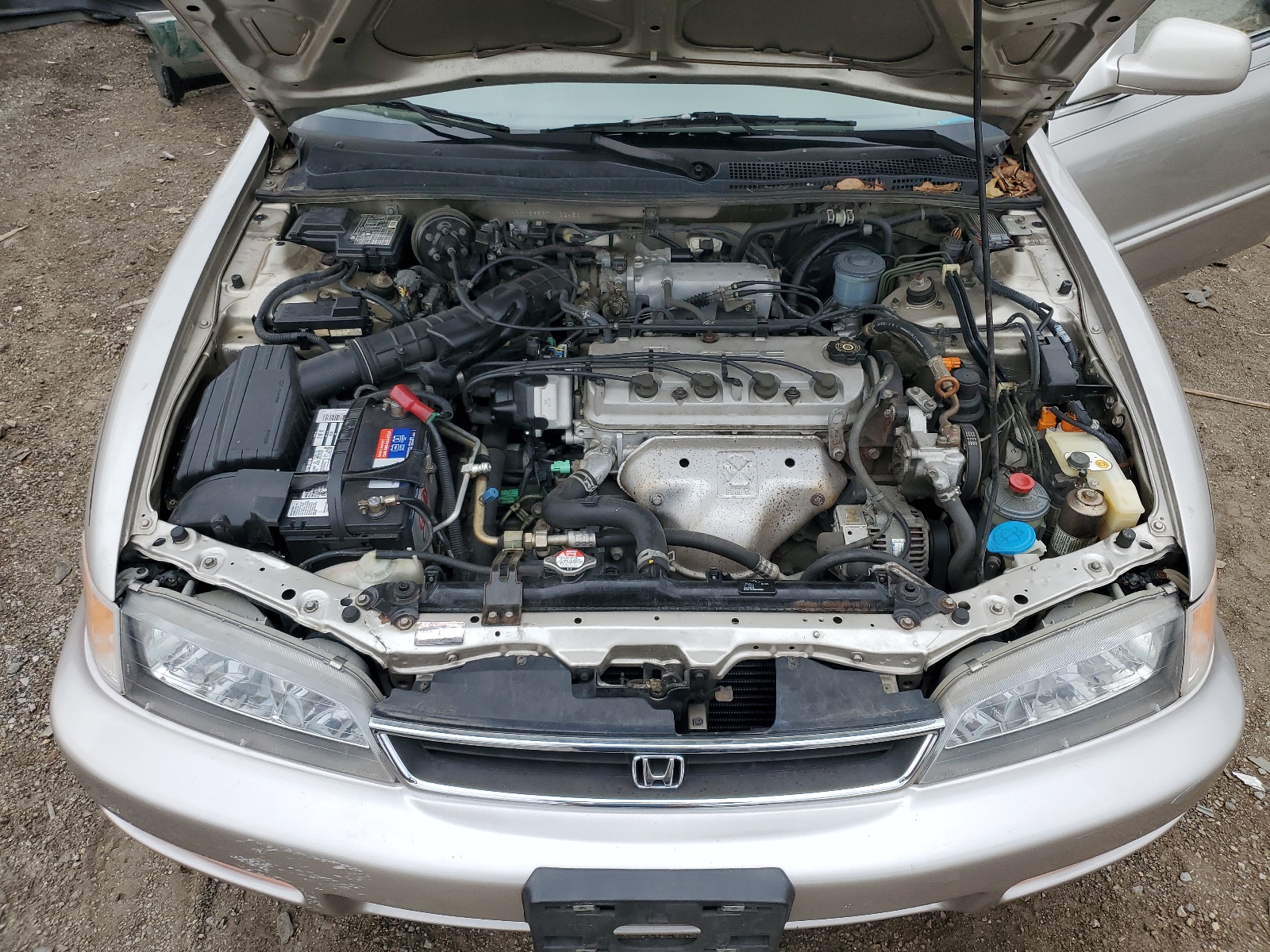 1HGCD5656TA022456 1996 Honda Accord Ex