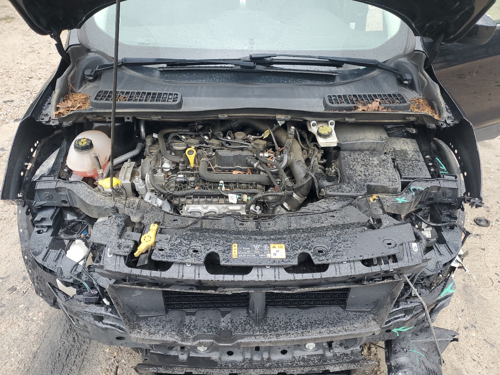 1FMCU9GDXKUB92825 2019 Ford Escape Se