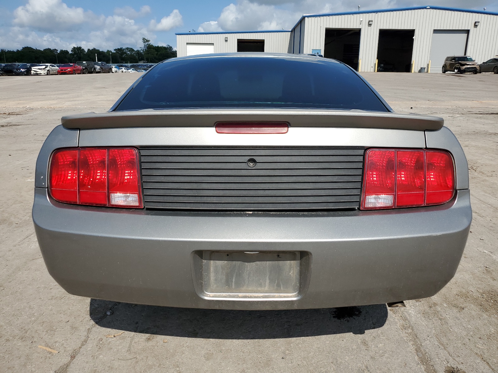 1ZVHT80N095100455 2009 Ford Mustang