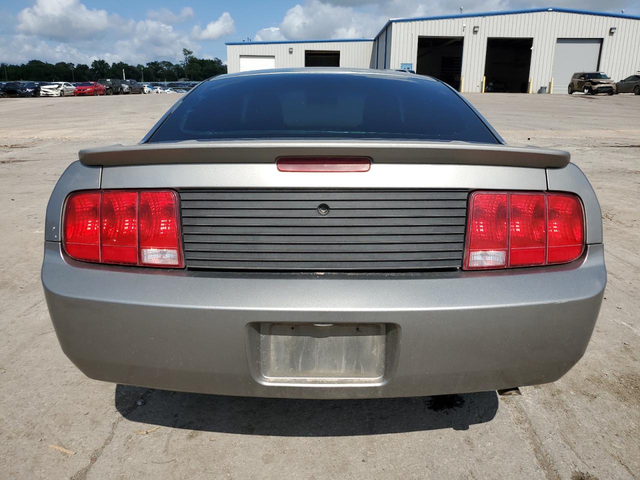 2009 Ford Mustang VIN: 1ZVHT80N095100455 Lot: 63012484