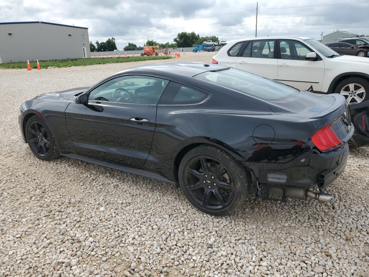 1FA6P8TH8K5141206 2019 FORD MUSTANG - Image 2