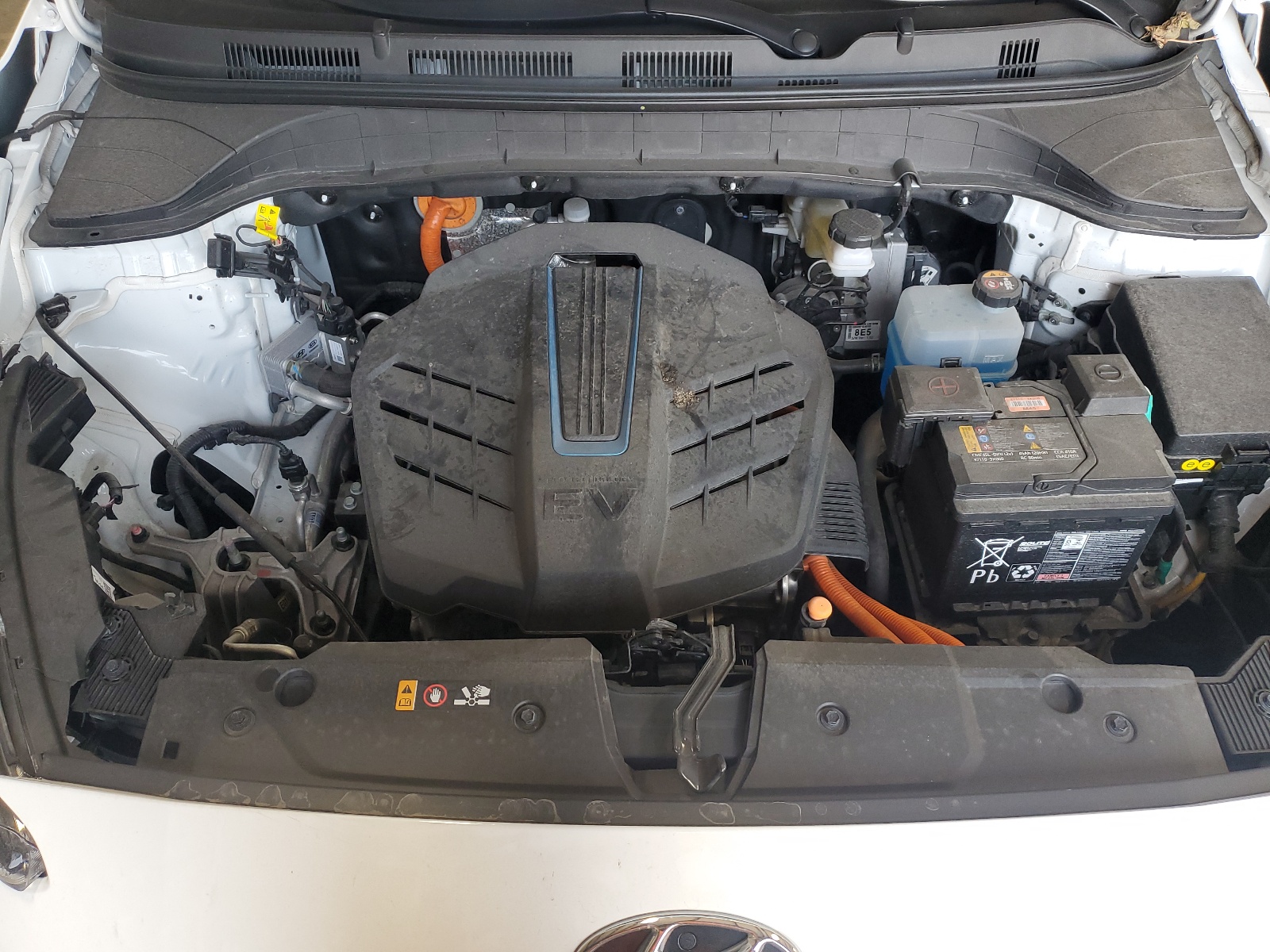 KM8K33AG5PU189286 2023 Hyundai Kona Sel