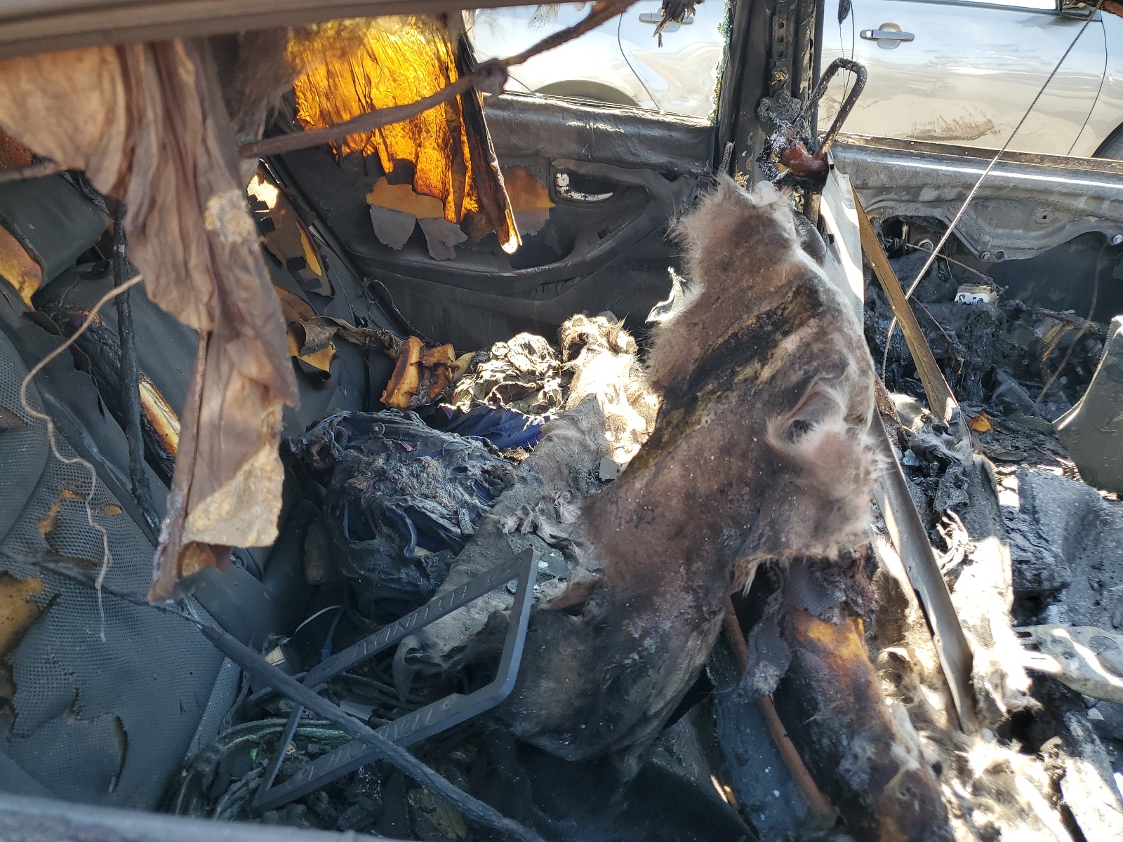 5NPDH4AE3EH517864 2014 Hyundai Elantra Se