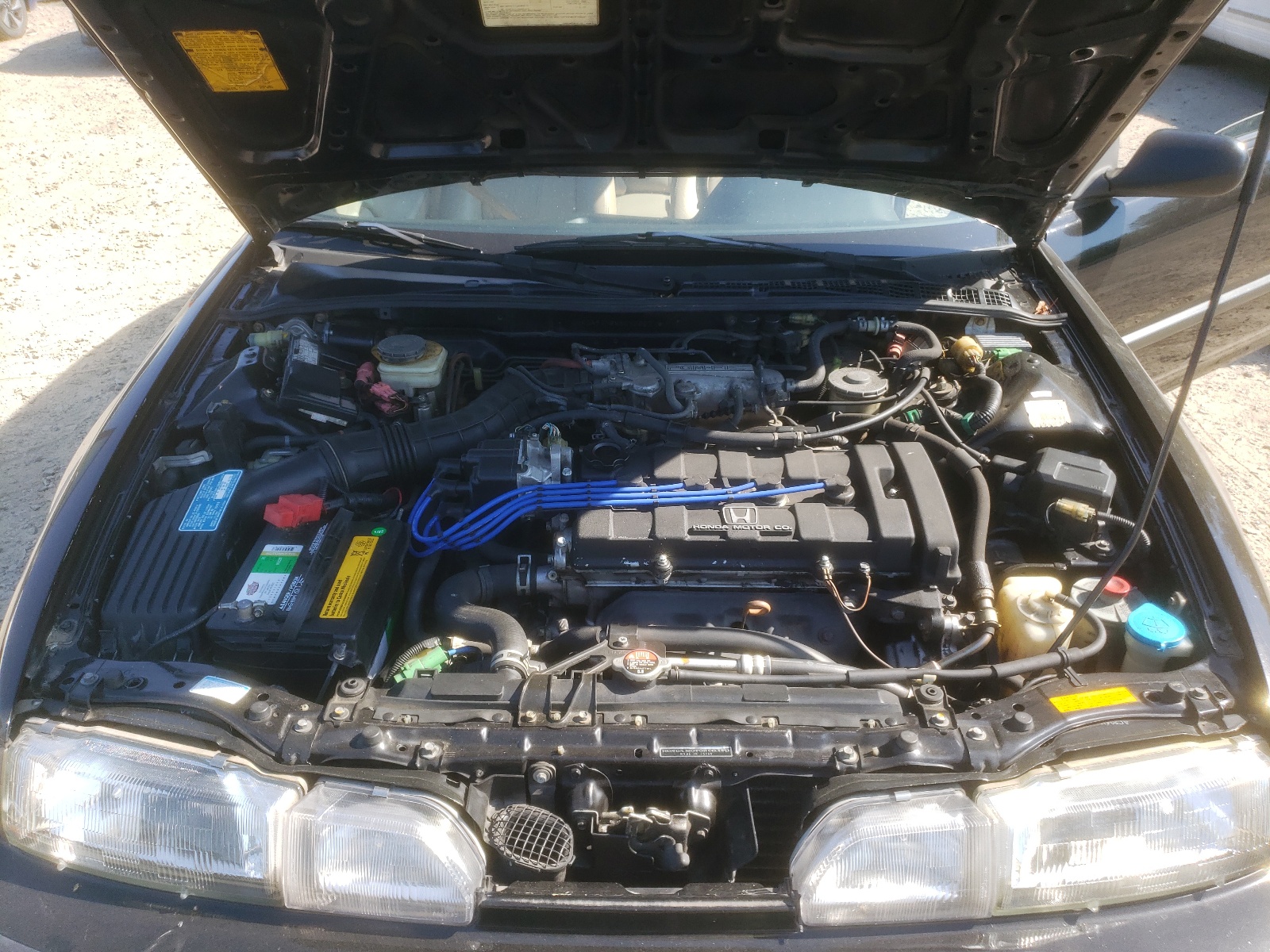 JH4DA9376MS040667 1991 Acura Integra Gs