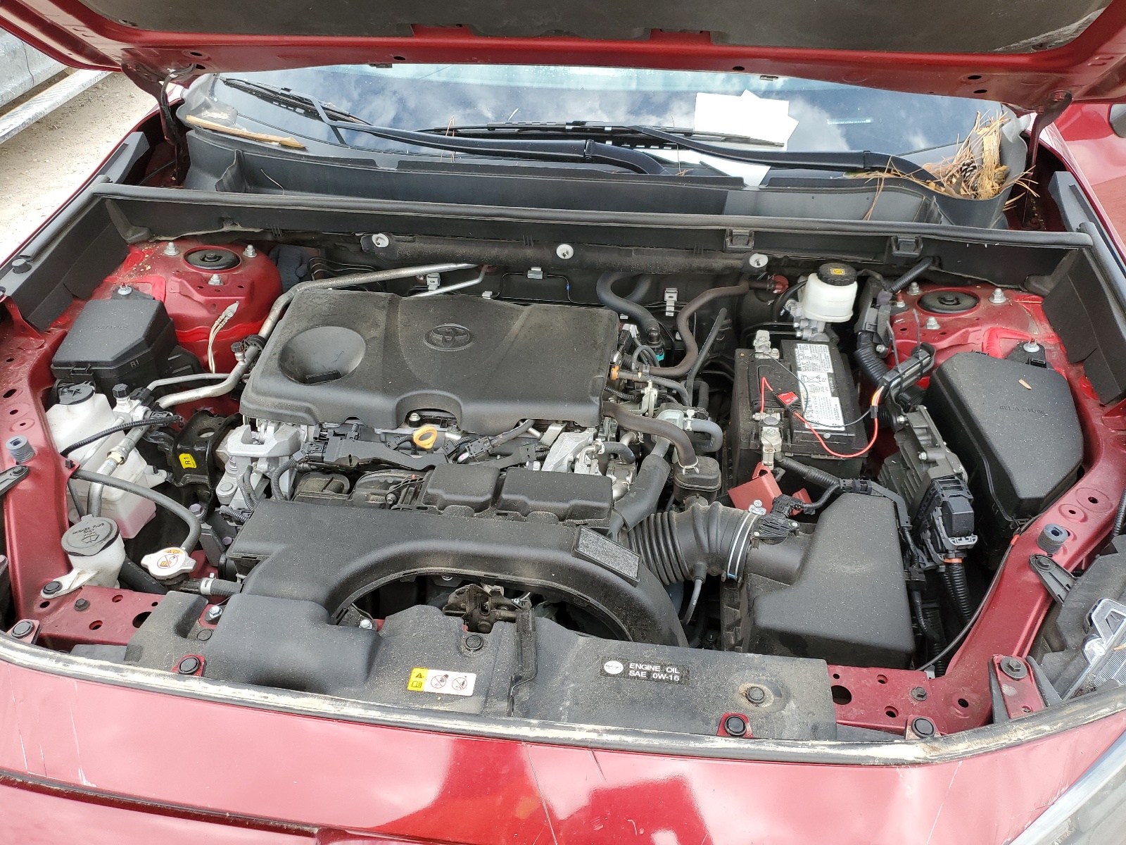 2T3H1RFV6MW161459 2021 Toyota Rav4 Le