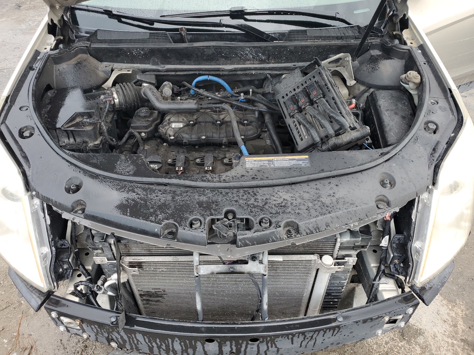 3GYFNAEY2BS552458 2011 Cadillac Srx Luxury Collection