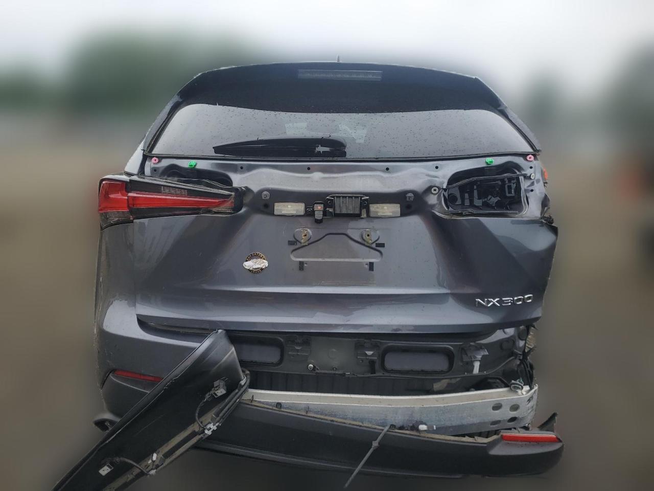 2021 Lexus Nx 300 Base VIN: JTJDARDZ4M2248626 Lot: 64181334