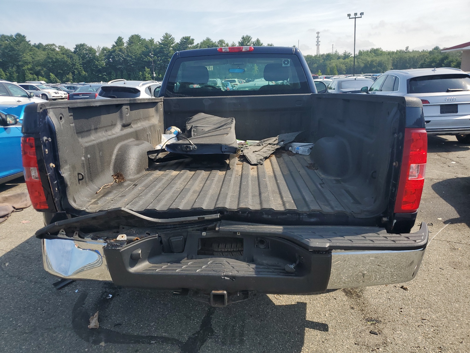 1GCPCPEX2AZ180602 2010 Chevrolet Silverado C1500