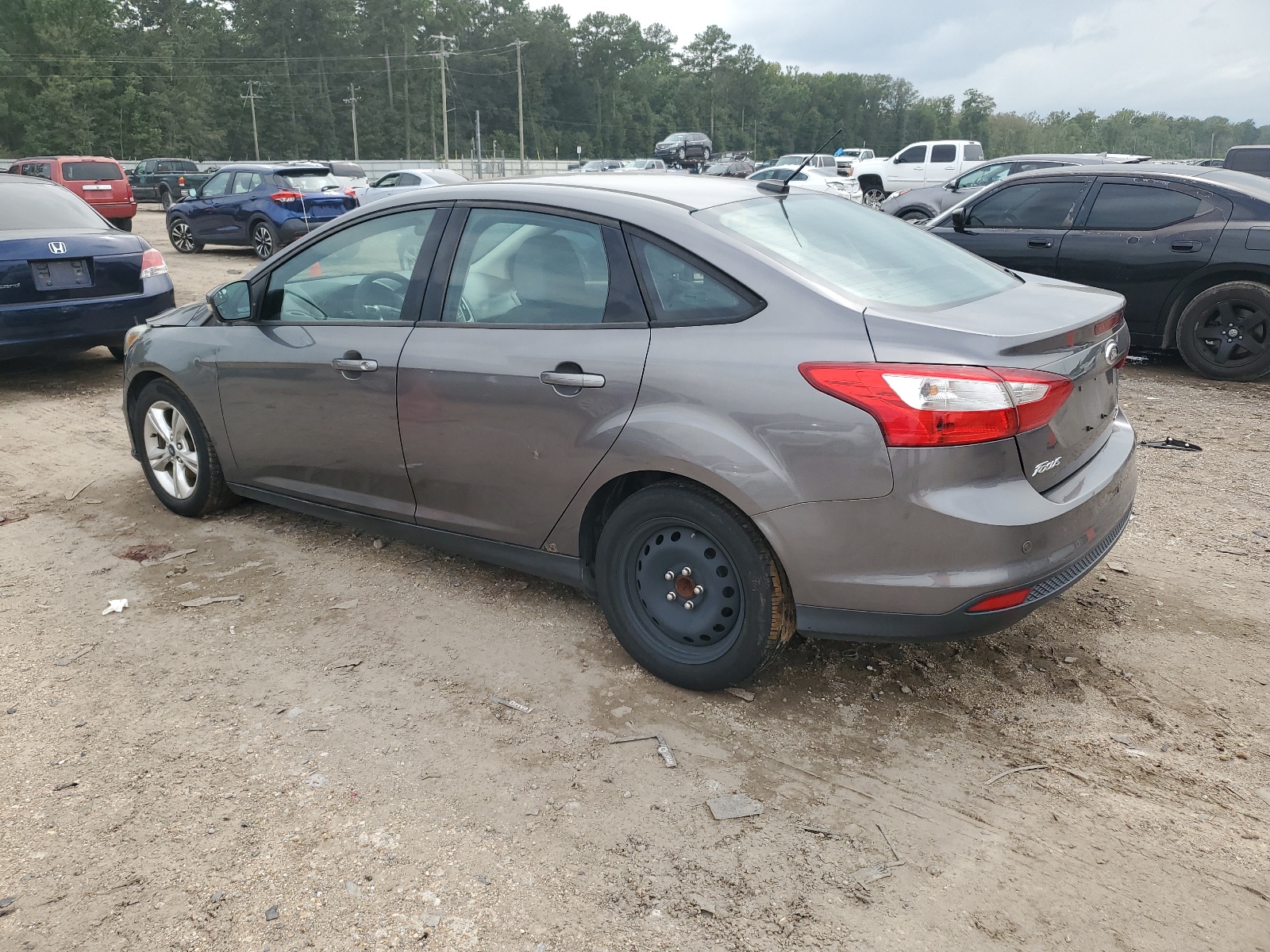 2013 Ford Focus Se vin: 1FADP3F29DL143076