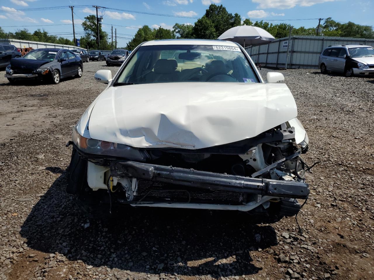 2006 Acura Tsx VIN: JH4CL968X6C037648 Lot: 62315864