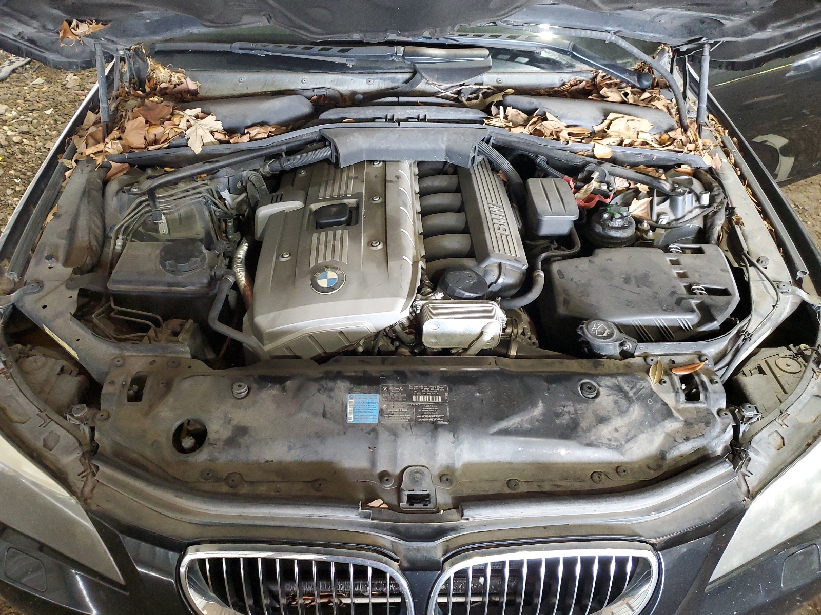 WBANF73516CU20228 2006 BMW 530 Xi