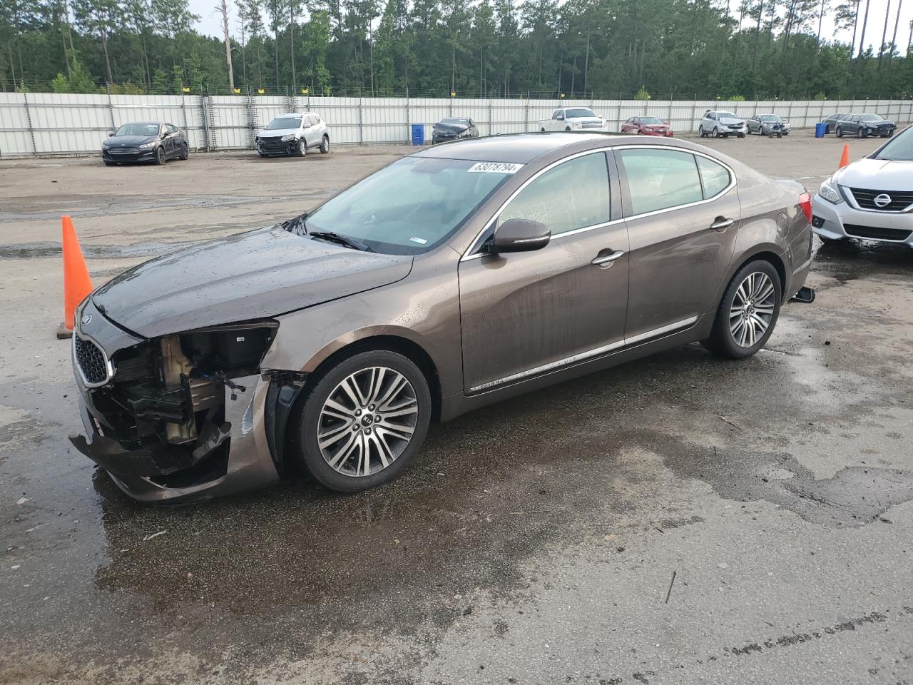 2014 Kia Cadenza Premium VIN: KNALN4D70E5144653 Lot: 63078794