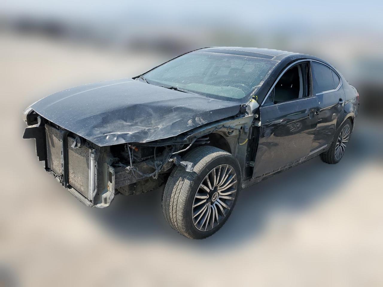 2014 Kia Cadenza Premium VIN: KNALN4D78E5130063 Lot: 63193794