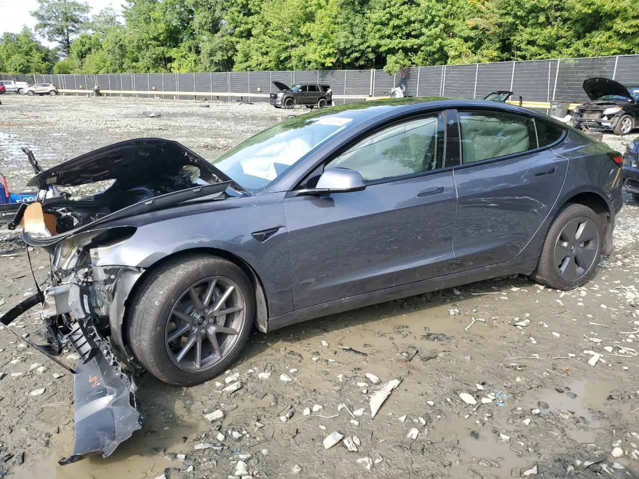 5YJ3E1EB4PF666661 2023 TESLA MODEL 3 - Image 1