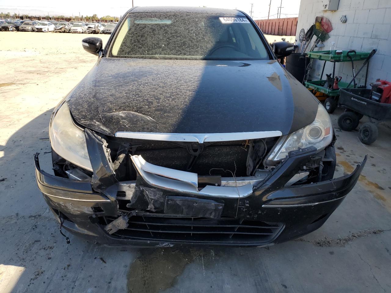 2009 Hyundai Genesis 3.8L VIN: KMHGC46E09U062192 Lot: 64096184