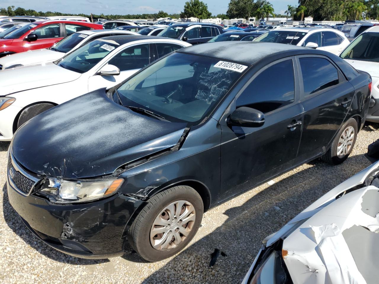 2012 Kia Forte Ex VIN: KNAFU4A2XC5509619 Lot: 61028794