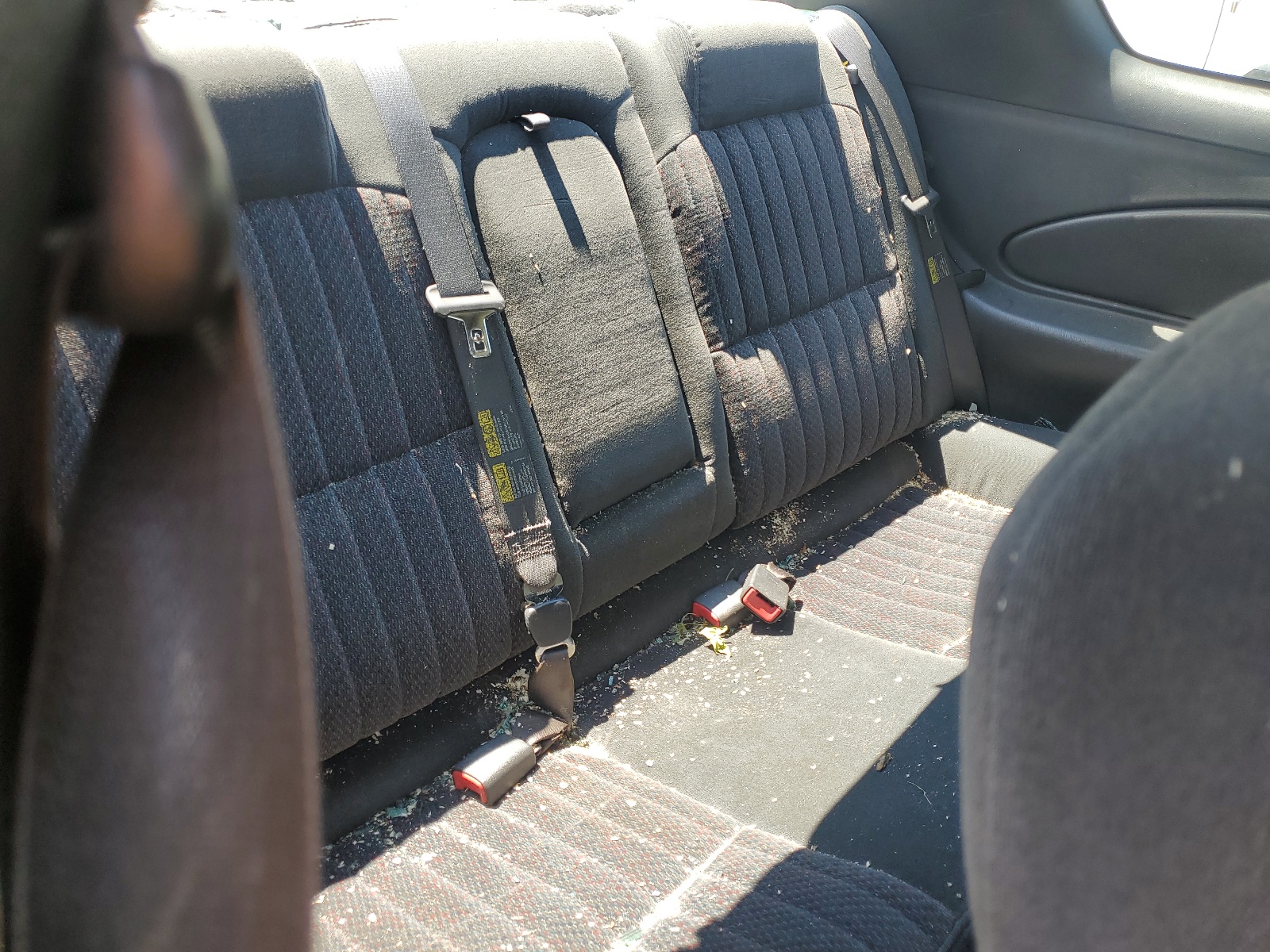 2G1WX12K249372955 2004 Chevrolet Monte Carlo Ss