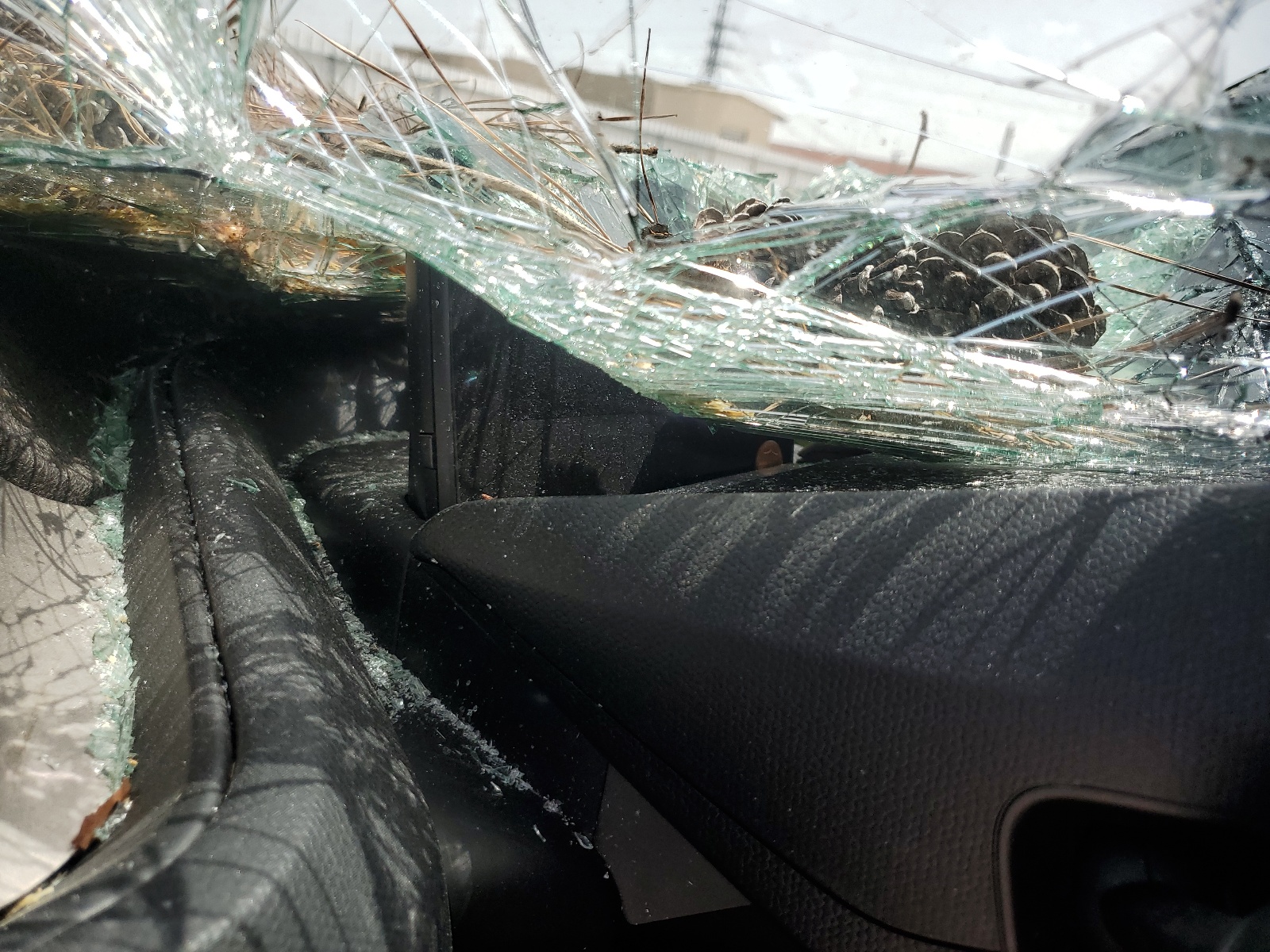 WBY1Z4C53GV508838 2016 BMW I3 Rex