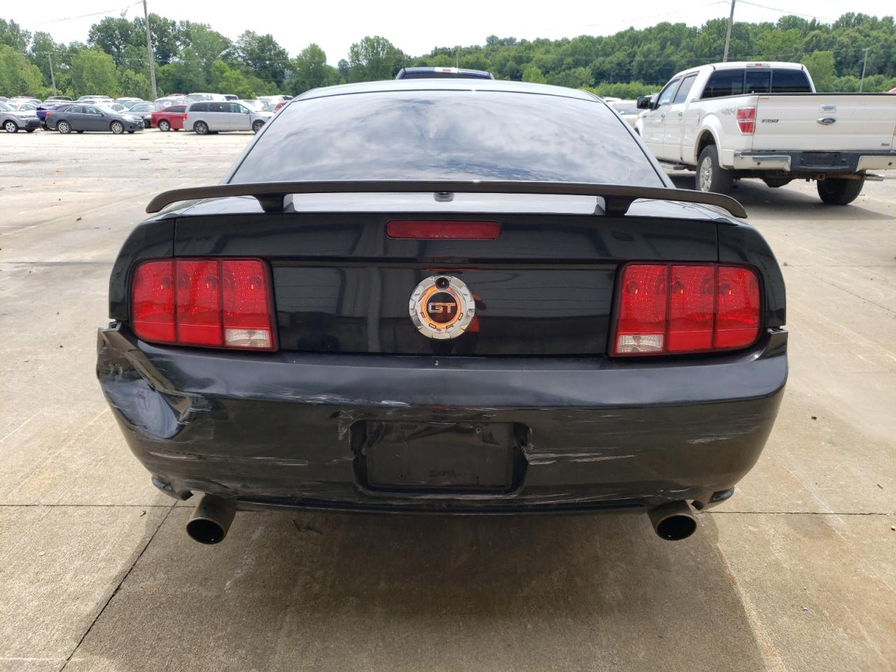 2008 Ford Mustang Gt VIN: 1ZVHT82H085113289 Lot: 62248354