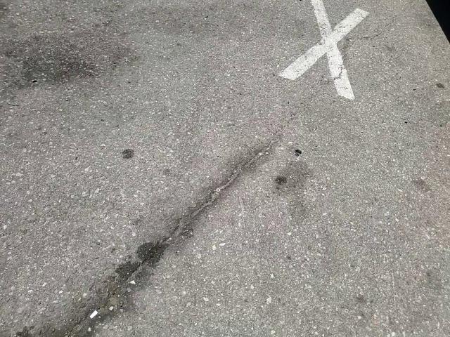 2004 Honda Accord Ex VIN: 1HGCM56724A026989 Lot: 62482134