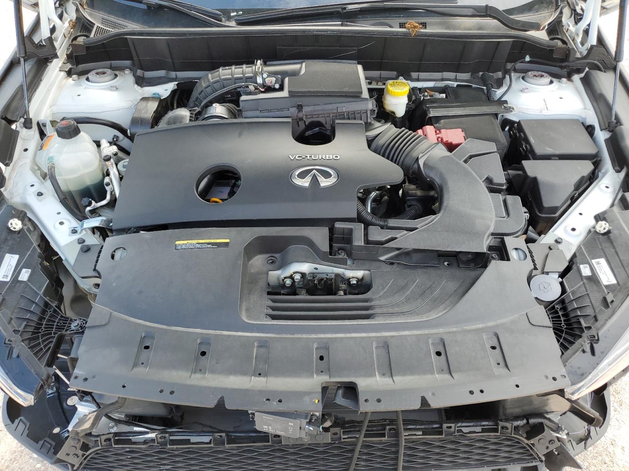 3PCAJ5BB8PF106298 2023 Infiniti Qx50 Luxe