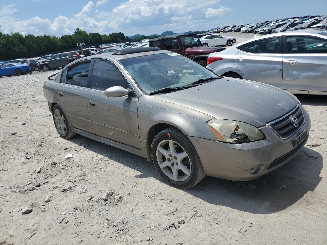 2003 Nissan Altima Se VIN: 1N4BL11D83C180344 Lot: 62897974