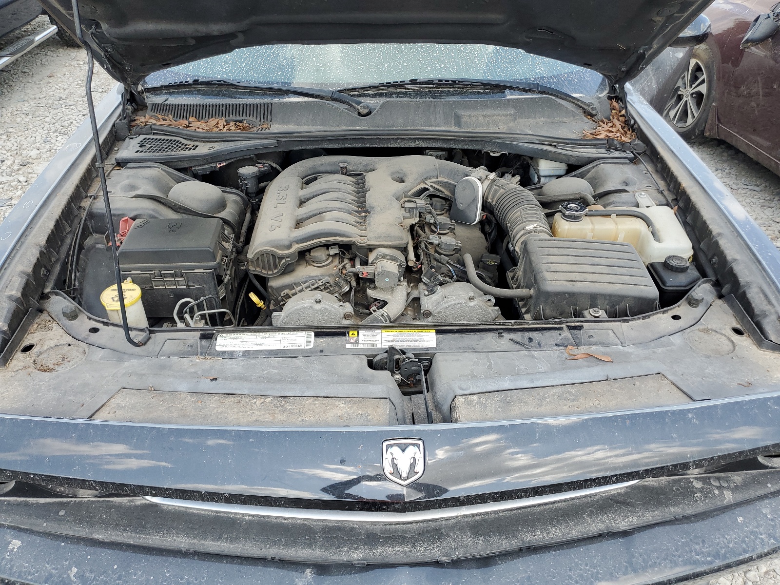 2B3CJ4DV6AH260439 2010 Dodge Challenger Se