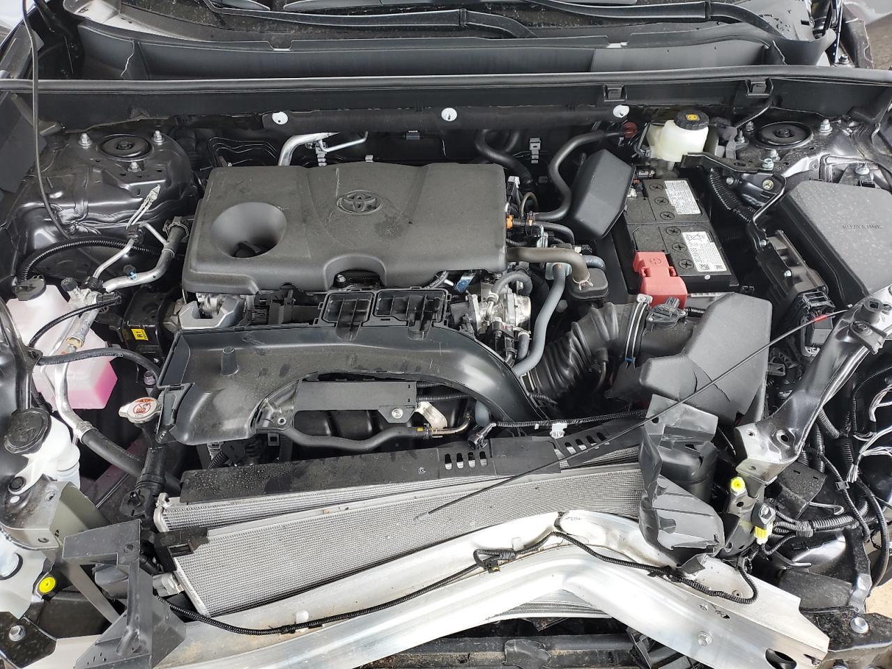 2024 Toyota Rav4 Xle VIN: 2T3W1RFV0RC282293 Lot: 63986474