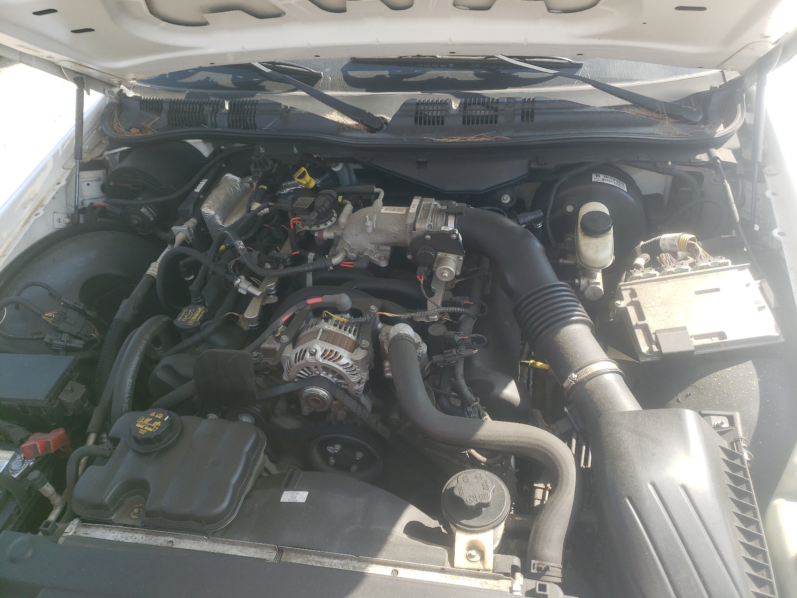 2FABP7BVXBX110876 2011 Ford Crown Victoria Police Interceptor