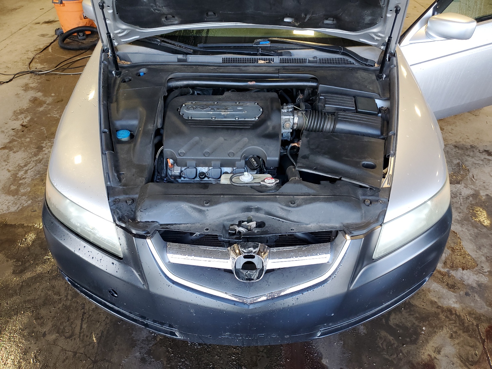 19UUA66266A052960 2006 Acura 3.2Tl