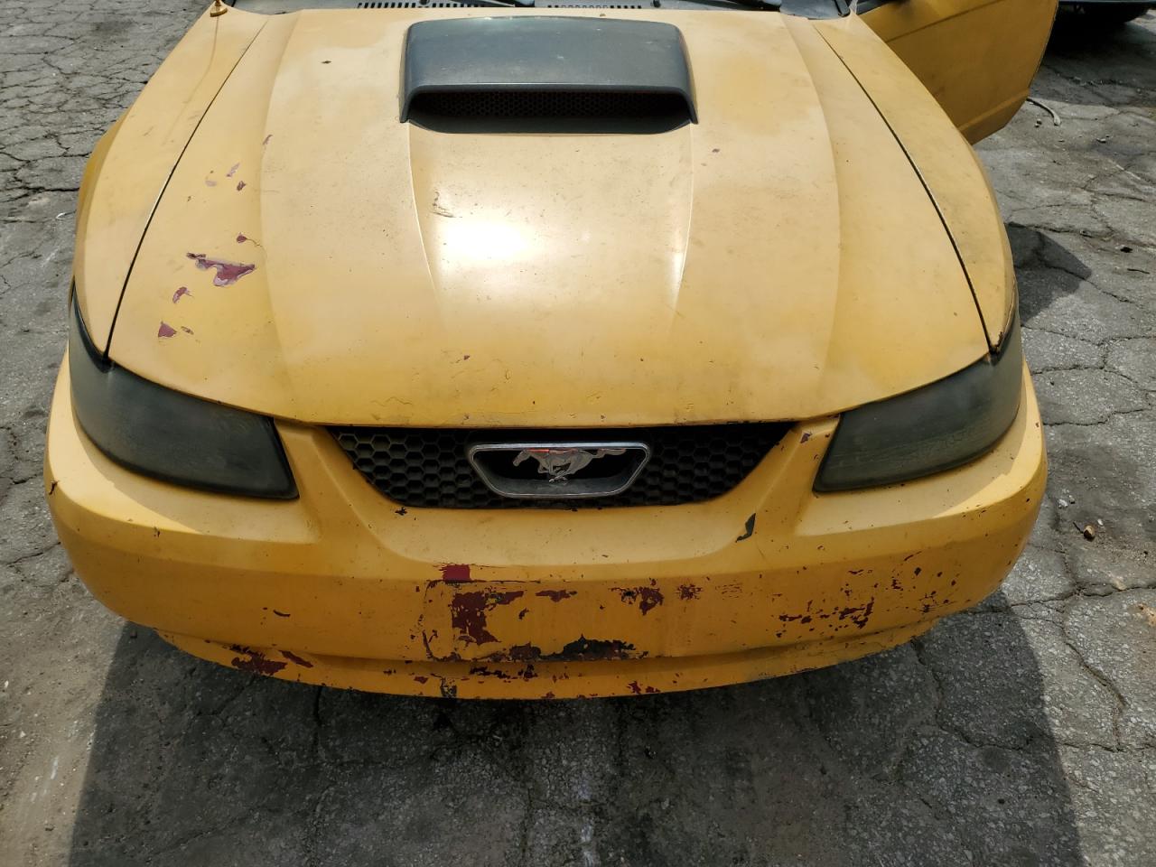 2003 Ford Mustang VIN: 1FAFP40423F340189 Lot: 62241384