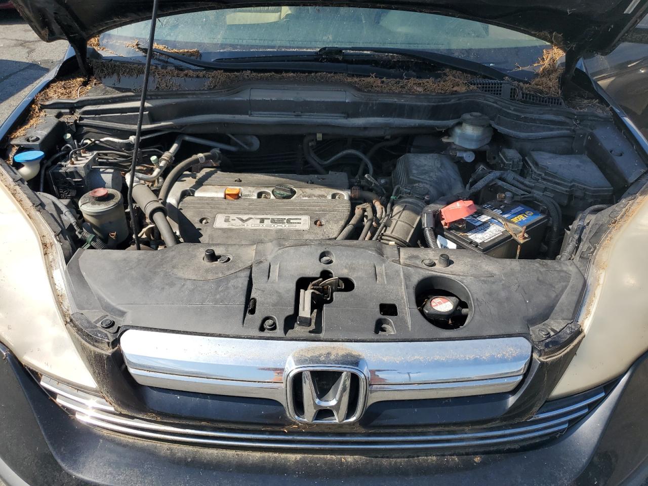 2009 Honda Cr-V Exl VIN: JHLRE487X9C023902 Lot: 62140244