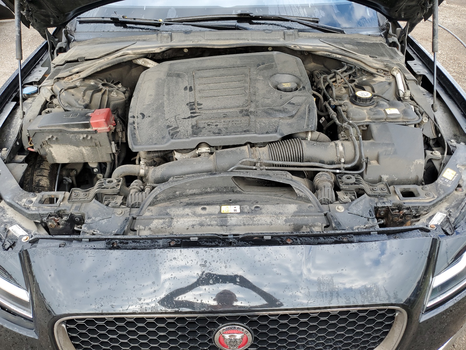 SAJBK4FX3JCY65318 2018 Jaguar Xf Prestige