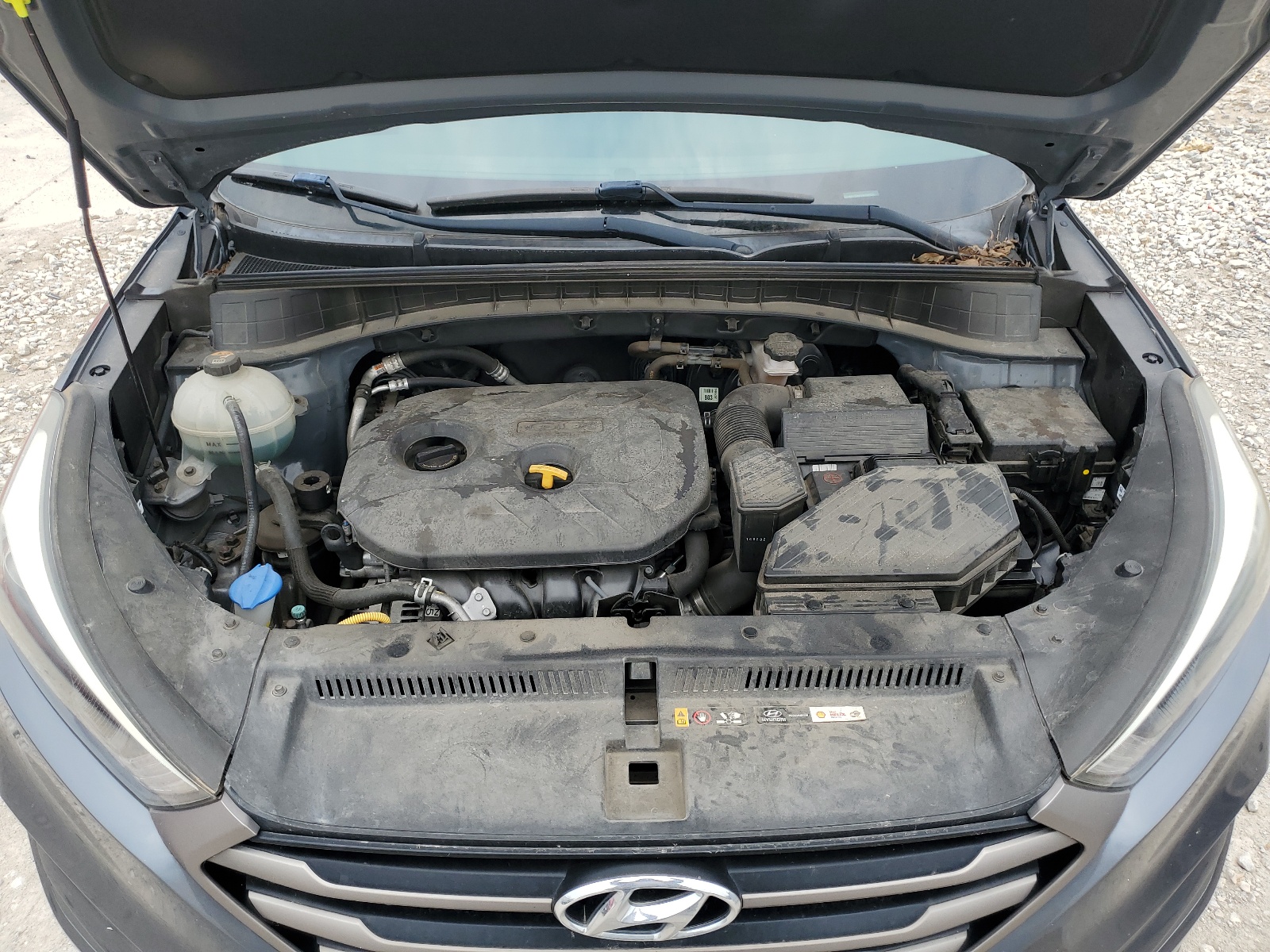 KM8J33A41GU180621 2016 Hyundai Tucson Limited