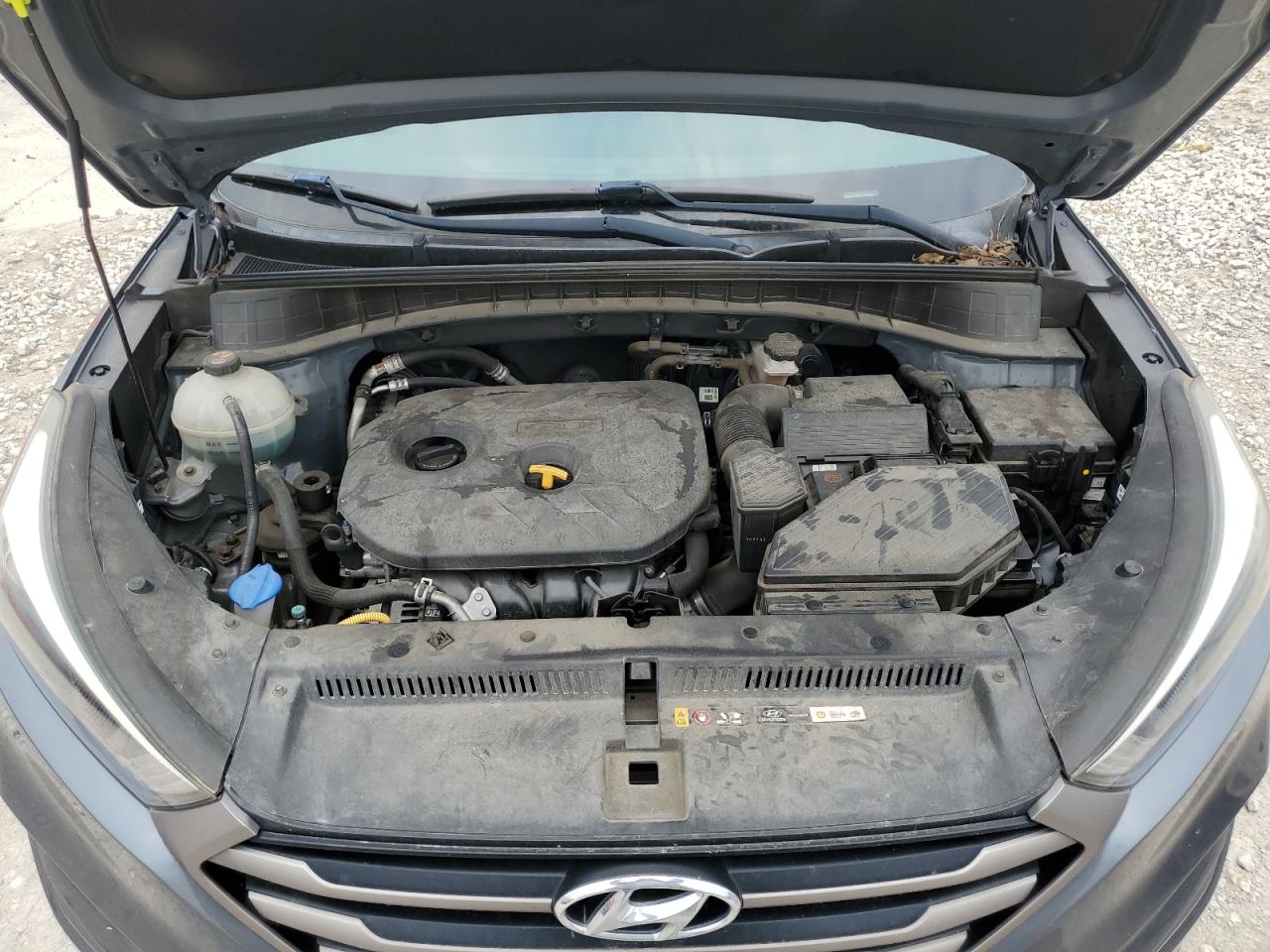 2016 Hyundai Tucson Limited VIN: KM8J33A41GU180621 Lot: 64266674