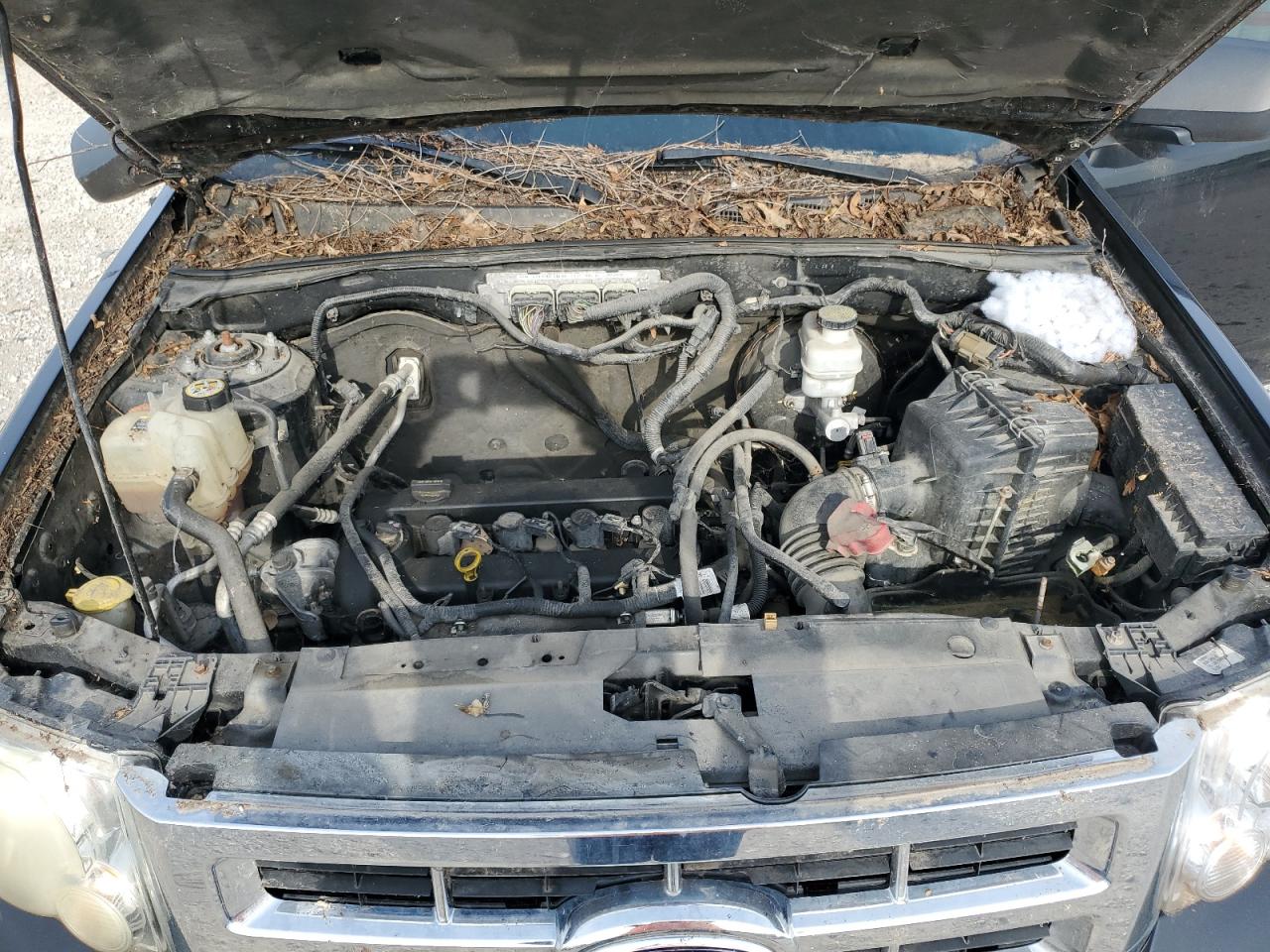 2012 Ford Escape Xlt VIN: 1FMCU9D70CKC54065 Lot: 62170864