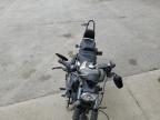 Ellwood City, PA에서 판매 중인 2019 Harley-Davidson Xl883 N - All Over