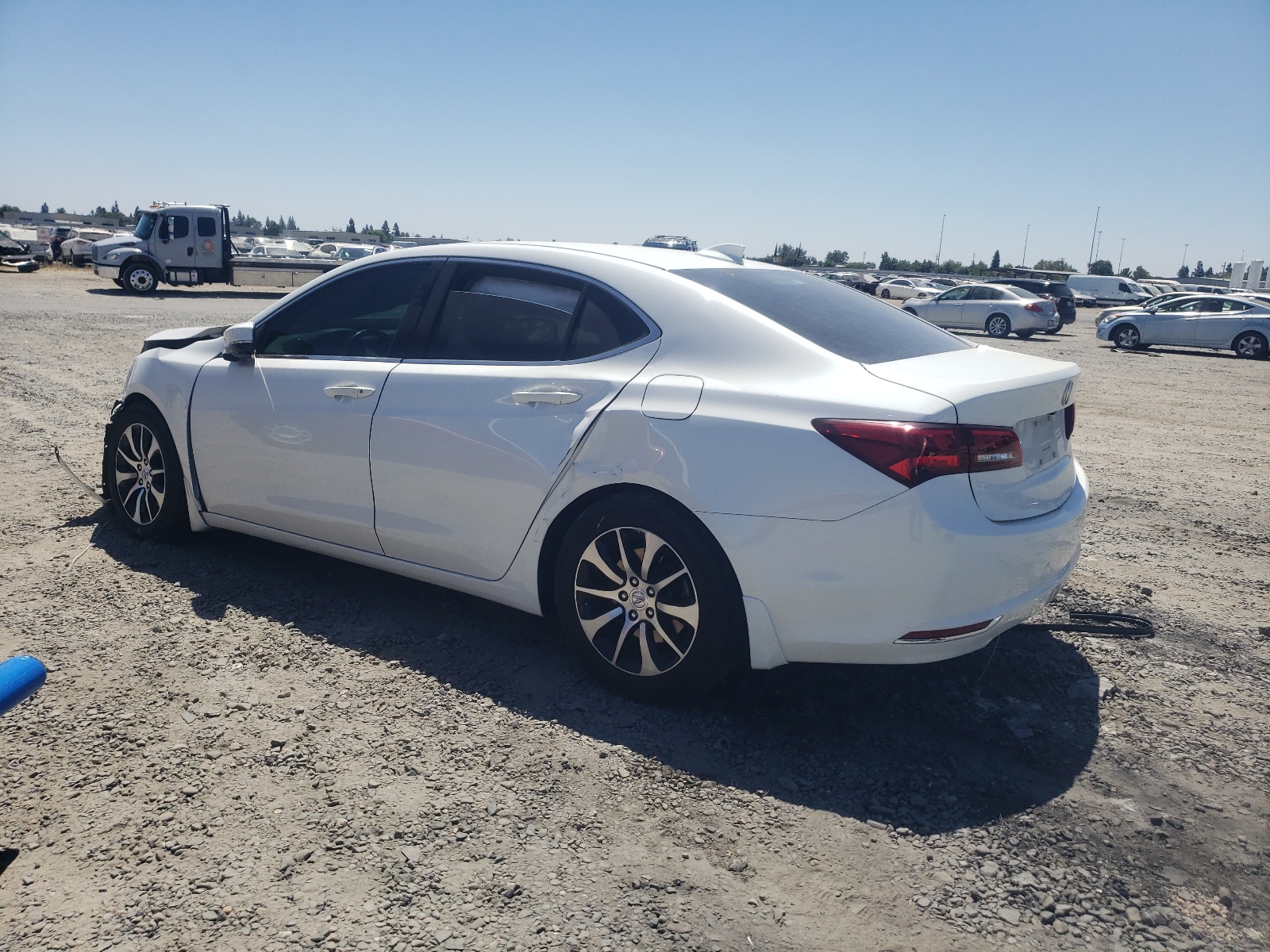 2016 Acura Tlx Tech vin: 19UUB1F54GA009441