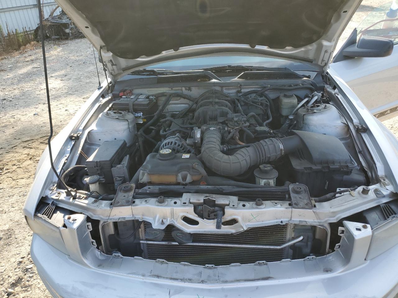 2008 Ford Mustang VIN: 1ZVHT80N685125715 Lot: 62042834