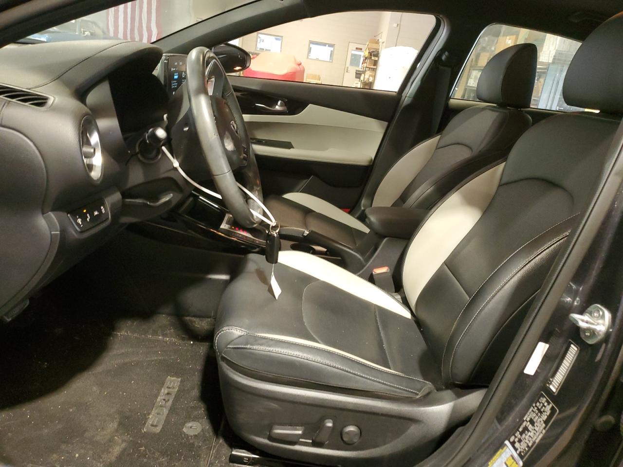 2019 Kia Forte Ex VIN: 3KPF54AD2KE028008 Lot: 64157864