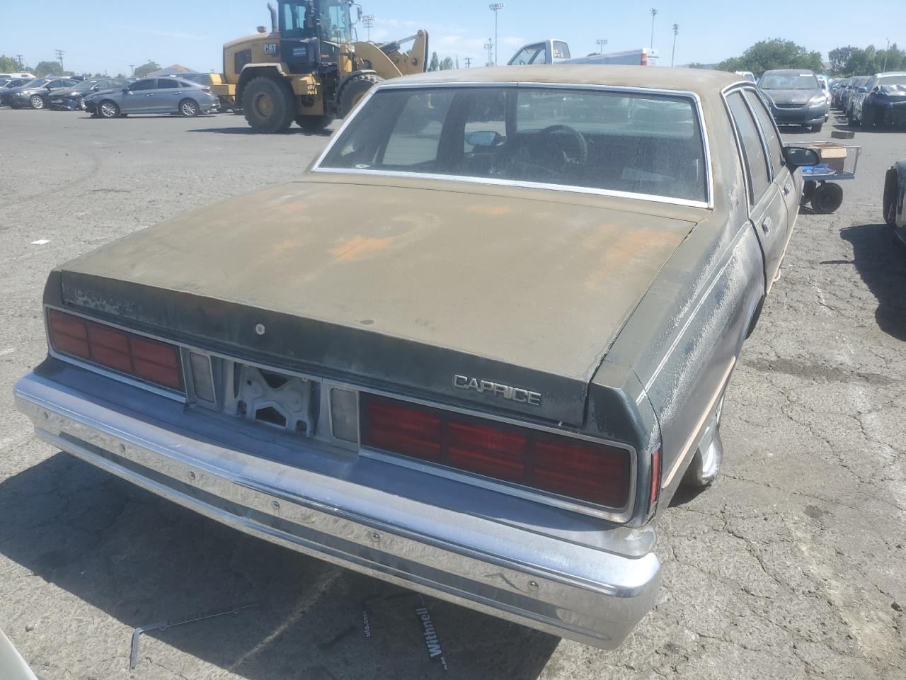 1989 Chevrolet Caprice VIN: 1G1BL51E0KR150236 Lot: 64500224