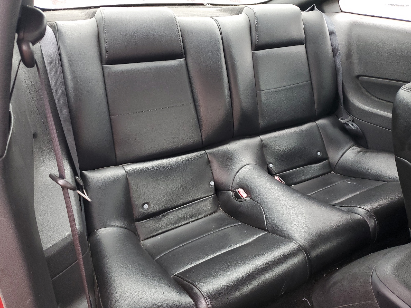 1ZVFT80N965192197 2006 Ford Mustang