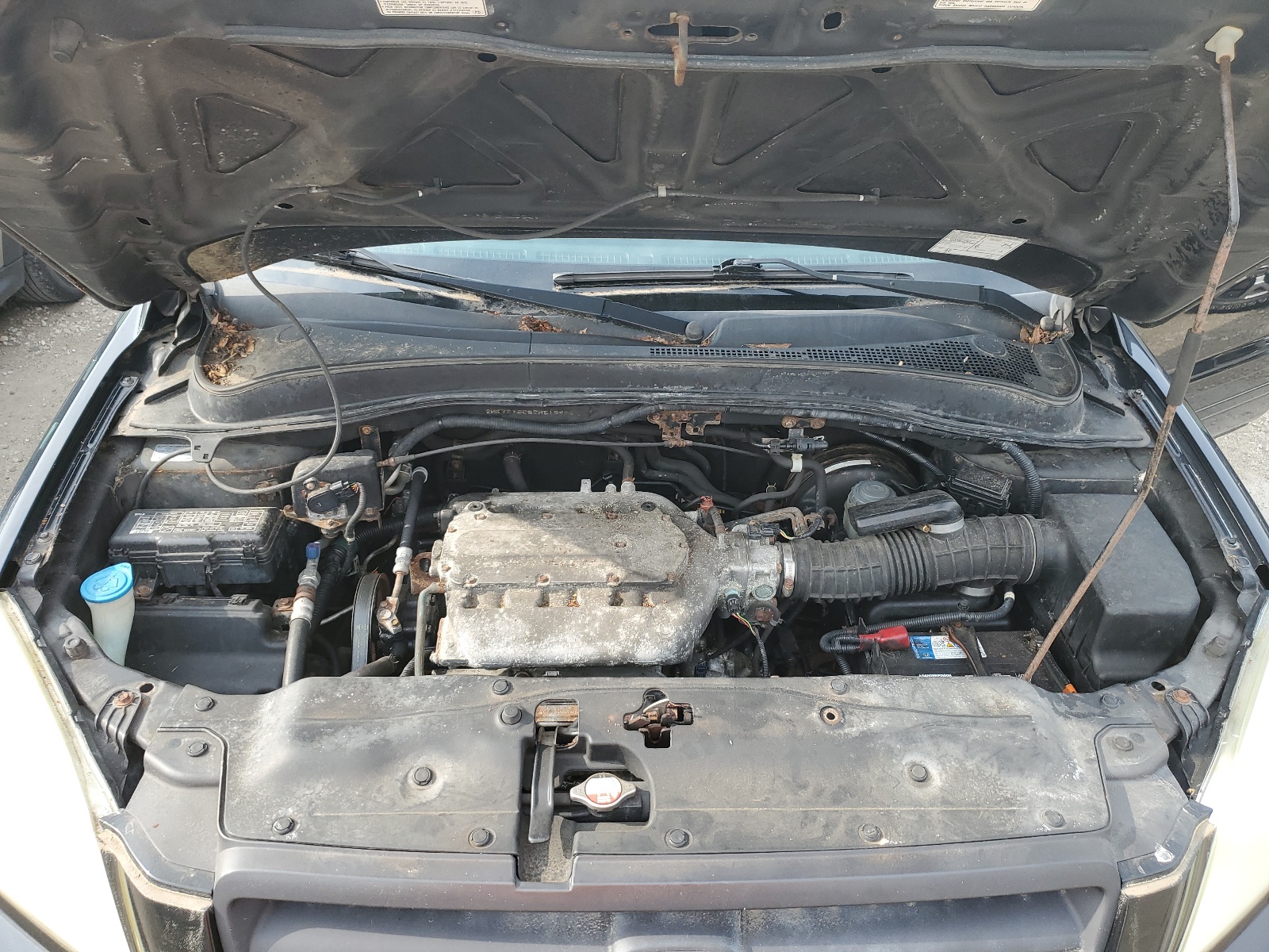 2HKYF18685H518965 2005 Honda Pilot Exl