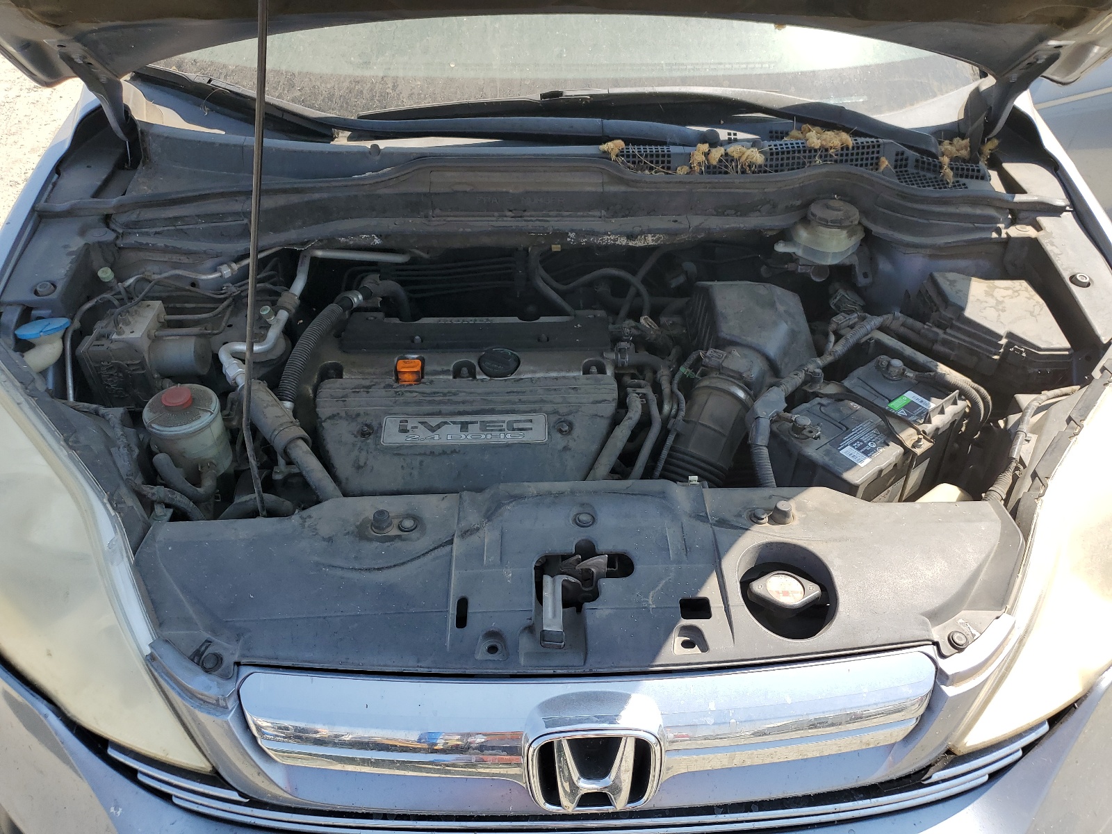 JHLRE48518C064853 2008 Honda Cr-V Ex