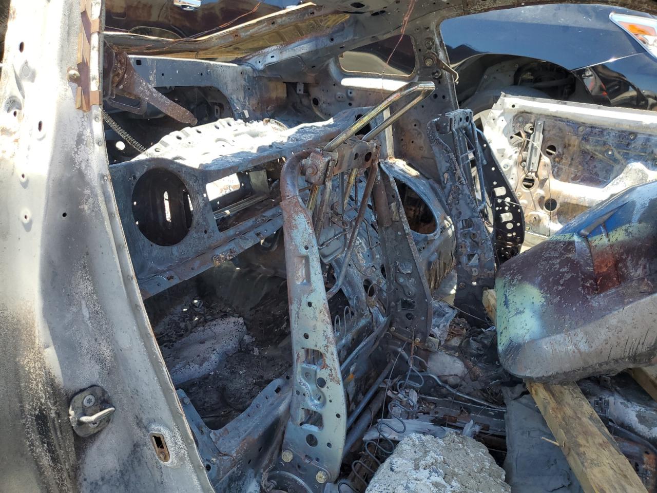 2007 Nissan 350Z Coupe VIN: JN1BZ34D07M502591 Lot: 61895444