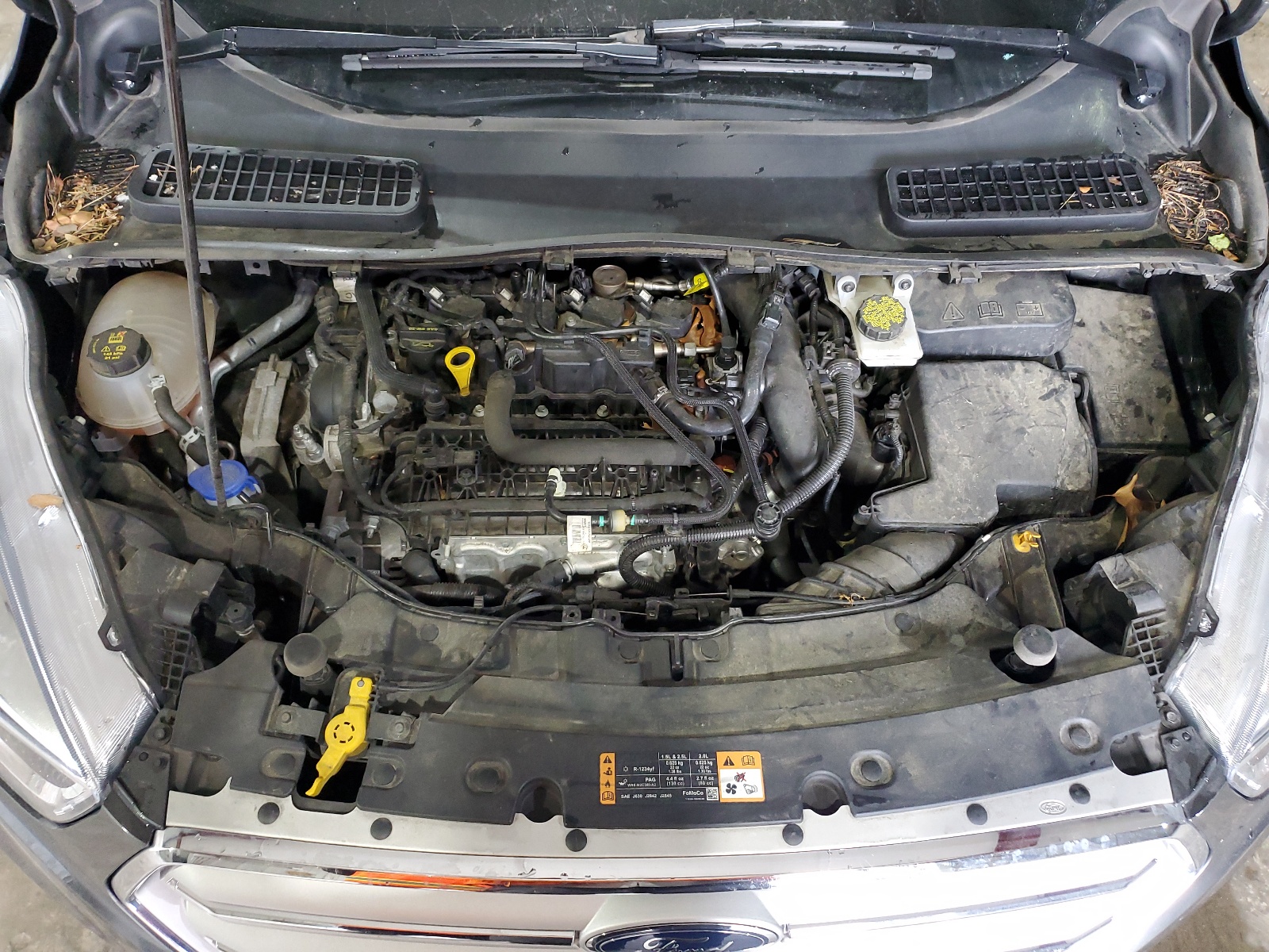 1FMCU0GD2KUA50951 2019 Ford Escape Se